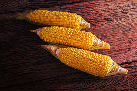 Fresh sweet corn on wooden tableの写真素材