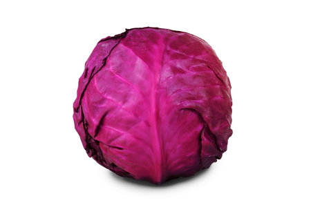 red cabbageの写真素材