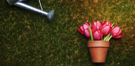 Tulips on Grass, Modern top View Shots with Copy Space. Banner size