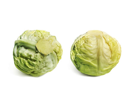 Fresh cabbage isolated on white backgroundの写真素材