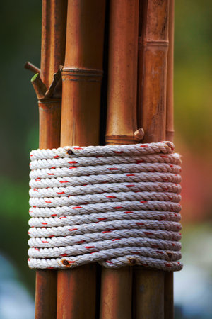 rope and bamboo trunkの写真素材