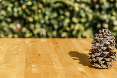 A pretty pinecone on a wooden table in a patioの写真素材
