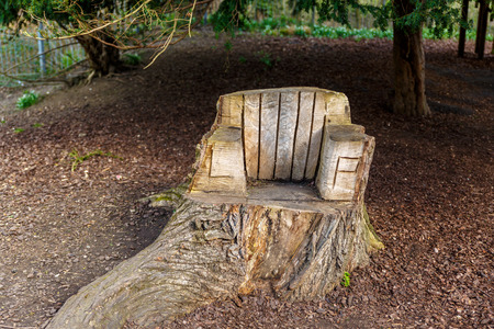 Handmade wooden bench in a nice park in England, surrounded by treesの写真素材