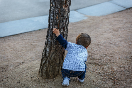 A tender child plays hide and seek and he hides behind a treeの写真素材