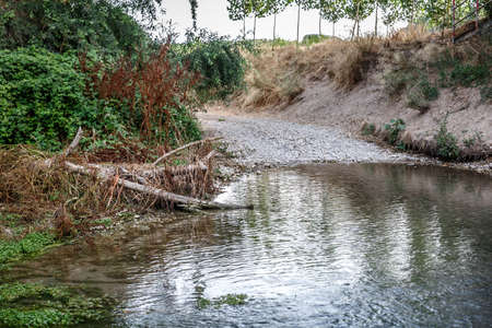 Small creek with little water, on a summer dayの写真素材