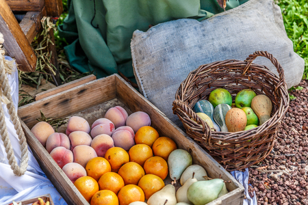 Set of assorted fruits and vegetables in basketsの写真素材