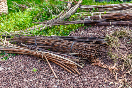 Some bundles of hemp scattered on the ground of a farmの写真素材
