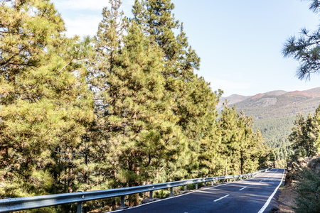 Road crossing a large wooded area in the Teide National Park, Tenerife, Canary Islandsの写真素材