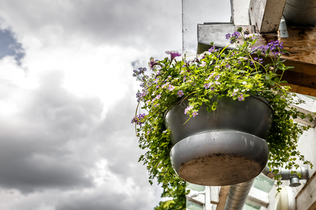 Large hanging flowerpot with a cloudy sky backgroundの写真素材