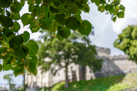 Blurred view of Norwich medieval castle in the background, United Kingdomのeditorial素材