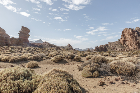 Special desert landscape on a beautiful sunny day, Tenerife island, Spainの写真素材