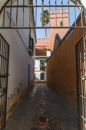 View of a narrow street typical of the city of Seville, Spainのeditorial素材