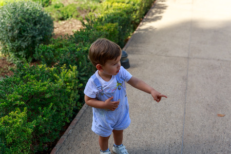 A blond little boy plays in a garden and points to something with his left handの写真素材