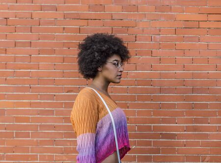 Side view of a precious multiethnic woman with afro hair wearing glasses and spring colors in front...