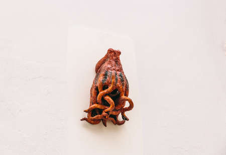 Red octopus standing out hanging on a white wallの写真素材