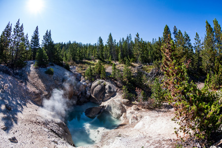 Norris Geyser? in Yellowstone National Park, USA