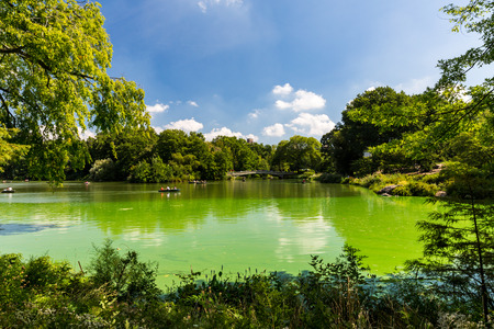 Central Park, New Yorkの写真素材