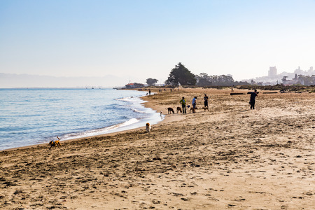 SAN FRANCISCO, CALIFORNIA - SEPTEMBER 18: View to the beach of the Crissy Field Park, San Francisco on September 18, 2015. The Crissy Field Park is near the Golden Gate Bridge.のeditorial素材