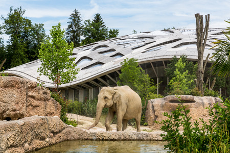 ZURICH, SWITZERLAND - JUNE 13, 2015: The new elephant compound in Zurich Zoo on June 13, 2015. The Zurich Zoo supports Kaeng Krachan National Park in Thailand as it protects the animals living there.のeditorial素材