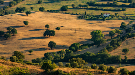 Overlook of a tuscan field and hills in Maremma regionの写真素材
