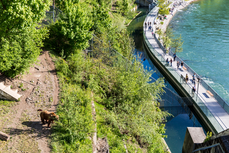 BERN, SWITZERLAND - APRIL 30, 2017: View of the Bear Pit ( Barengraben ) a tourist attraction in the...