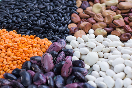 Batches of yellow lentils, white, purple, brown kidney haricot beans scattered close-upの写真素材