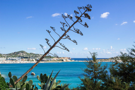 Sea view of Ibizza island from top to coastal blue watersの写真素材