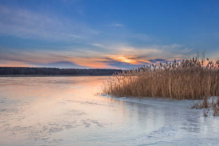 Winter paysage landscape of sunset evening iced frozen lake river and dry canesの写真素材