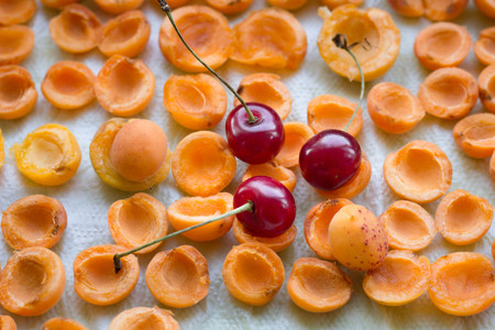 Summer harvest of mellow fresh and sun-dried apricots and juicy cherries prepared for conservationの写真素材
