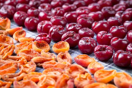 Background pattern of fresh mellow cherry and apricot berries prepared for cooking and sun drying for conservation and preservationの写真素材