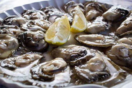 Food plate of fresh natural organic oysters and lemonsの写真素材