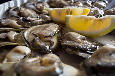 Food plate of fresh natural oysters with lemonの写真素材