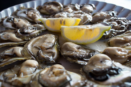 Food plate of fresh natural organic oysters and lemonの写真素材