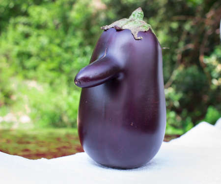 Funny purple fresh organic vegetable eggplant with long nose on greenの写真素材