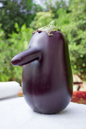 Funny purple fresh natural vegetable eggplant with long noseの写真素材