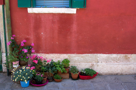 Flowers near colorful wall in small Italian street of town Veniceの写真素材