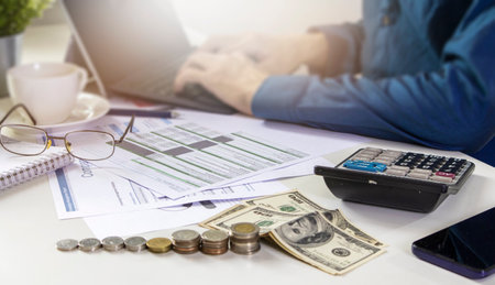 Preparation of accounting documents and financial statements of the company's investments,future...