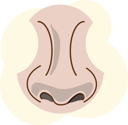 nose ,medical business ideas, vector flat design illustration, flat design.のイラスト素材