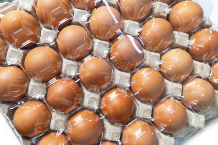 Chicken eggs in cardboard box with plastic cover for protection, Chicken egg business, top viewの写真素材