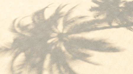 Shadow of coconut tree on sandy beach. Holiday and vacation travel on the beach.,3d renderingの写真素材