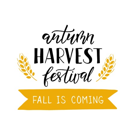 Autumn Harvest Festival - hand drawn lettering phrase with wheat. Harvest fest poster design. Autumn festival invitation. Fall party template. For postcard or invitation card, banner. Vector illustration.のイラスト素材