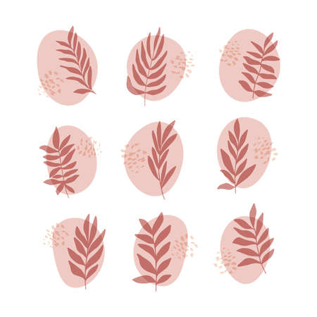 Flat vector botanical illustration set. Trendy home decor print, wall art.のイラスト素材