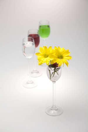Yellow flowers and cherries in a glass on a gray background の写真素材