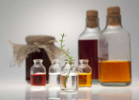 Green sprout in a small bottle on the background of cookware on a gray background の写真素材