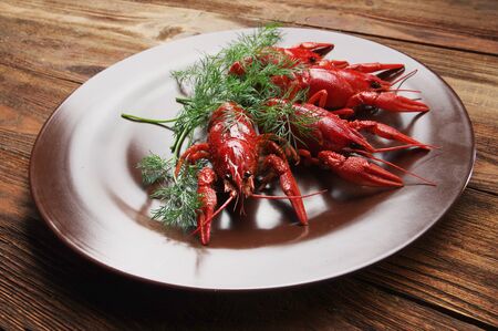 boiled crawfish on wooden surface with  dill. old style plateの写真素材