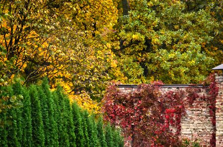 shades of autumnの写真素材