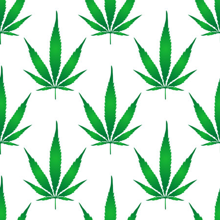 vector image of cannabis leaf. cannabis leaf backgroundのイラスト素材