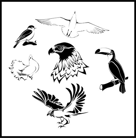 The Vector image of new birdsのイラスト素材