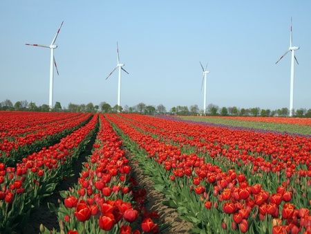 Wind as an alternate energy resourceの写真素材