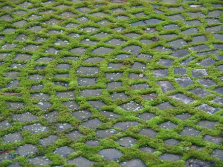 Ornament out of cobbles and mossの写真素材